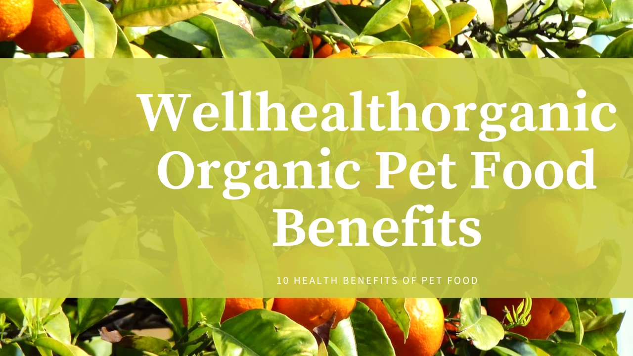 Wellhealthorganic Organic Pet Food Benefits