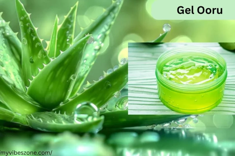 Gel Ooru: Exploring the Buzz Behind This Trending Term